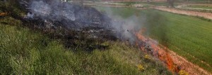 incendio forestal en la loma
