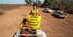 greenpeace en salta