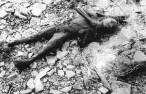 Hiroshima y Nagasaki
