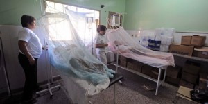 enfermos de dengue