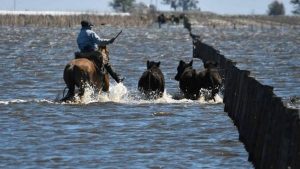 CAMPO INUNDADO EN SANTA FE